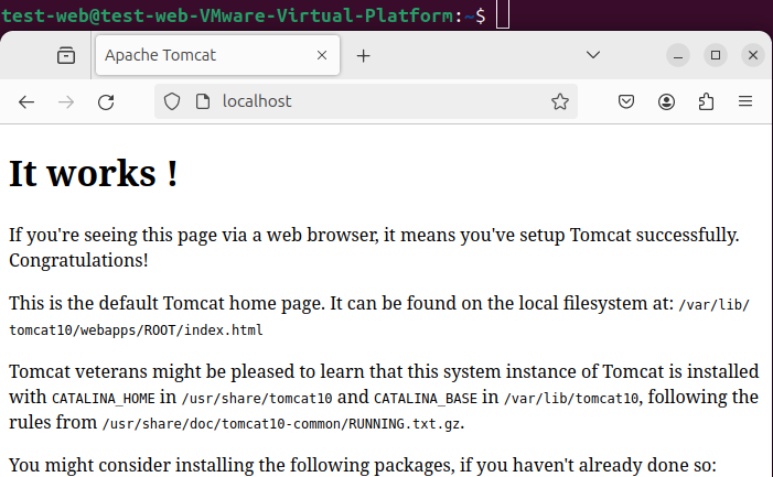 nginx-tomcat이 연동된 브라우저 화면