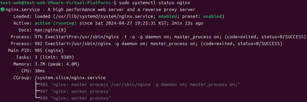 Nginx 실행 확인